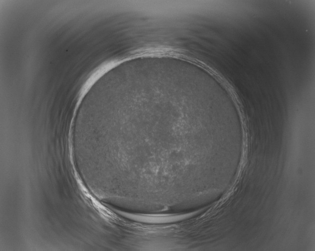 X0000085841440200703161339