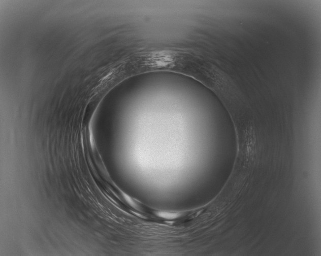 X0000085841442200703161338
