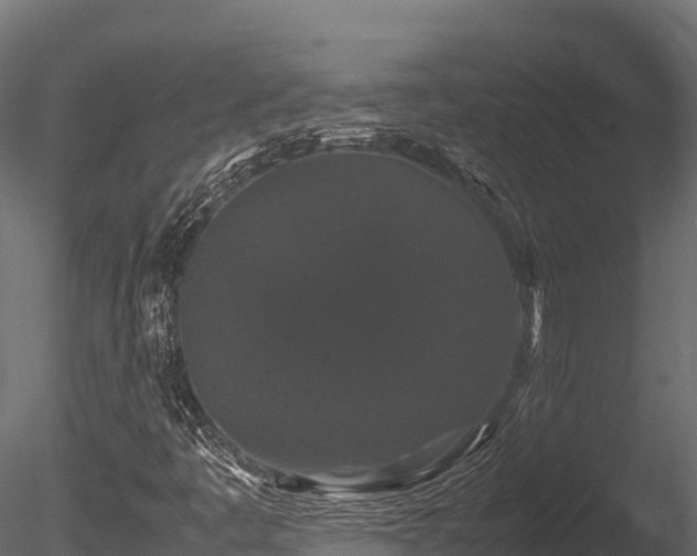 X0000085841445200703161338