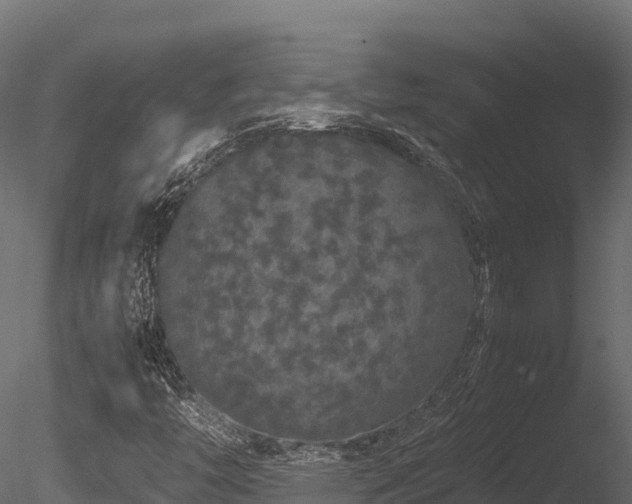 X0000085841446200703161338