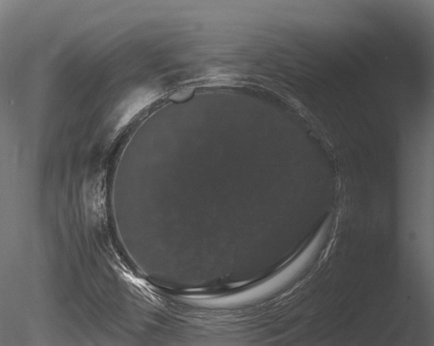 X0000085841450200703161338