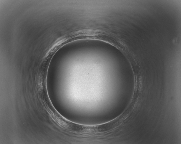 X0000085841451200703161338