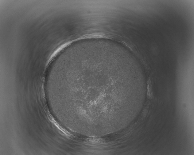 X0000085841452200703161338