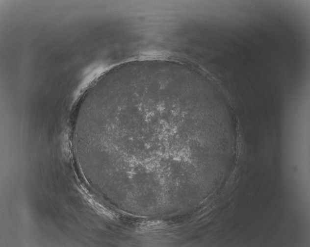 X0000085841454200703161338