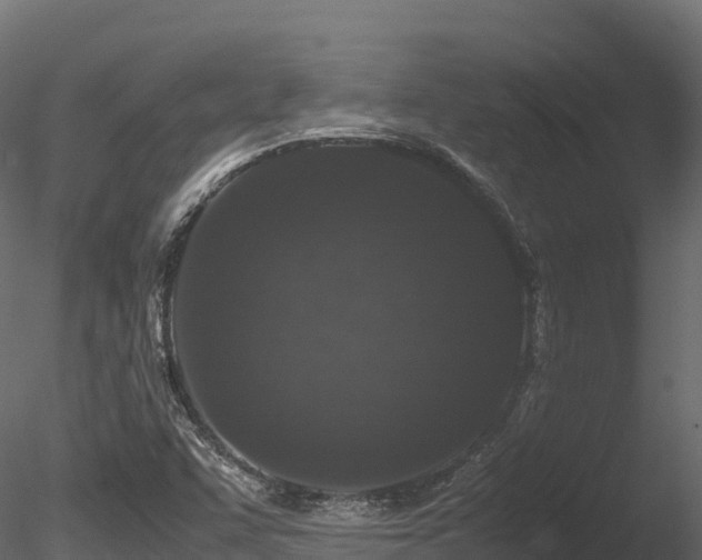 X0000085841455200703161338
