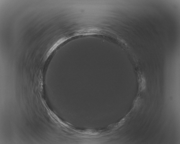 X0000085841457200703161338