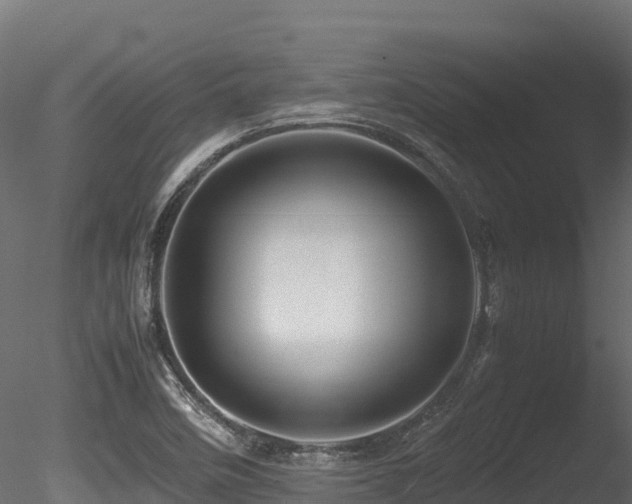 X0000085841458200703161338