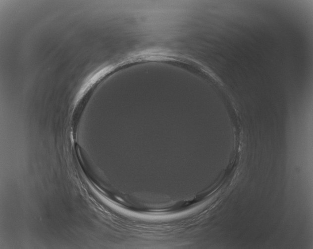 X0000085841461200703161338