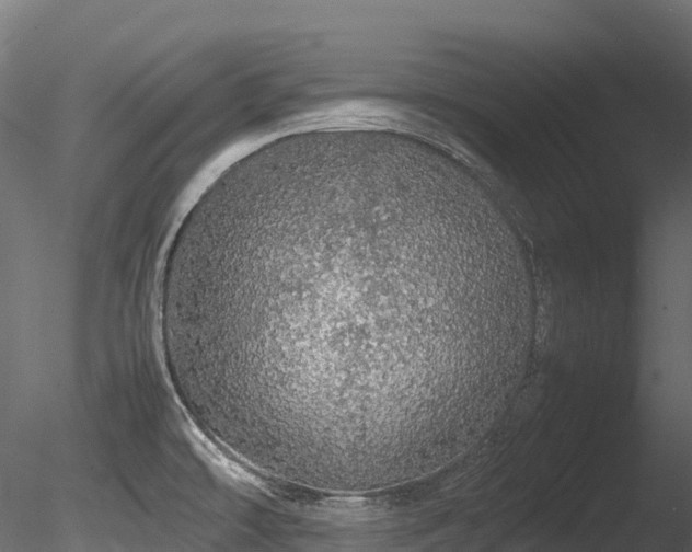 X0000085841478200703161337