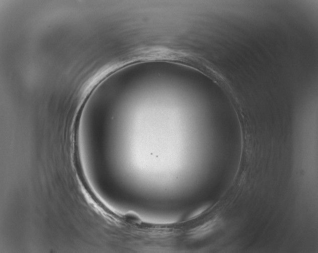 X0000085841479200703161337