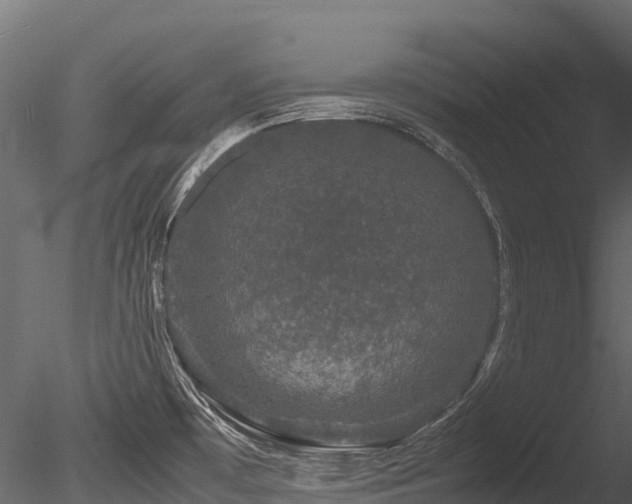 X0000085841481200703161337