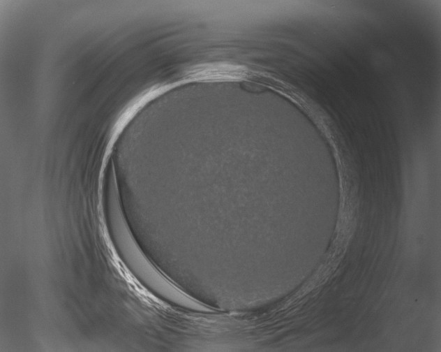 X0000085841488200703161337