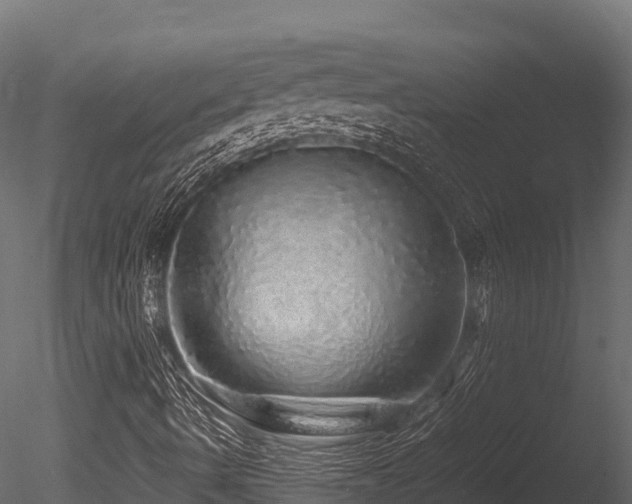 X0000085841490200703161336