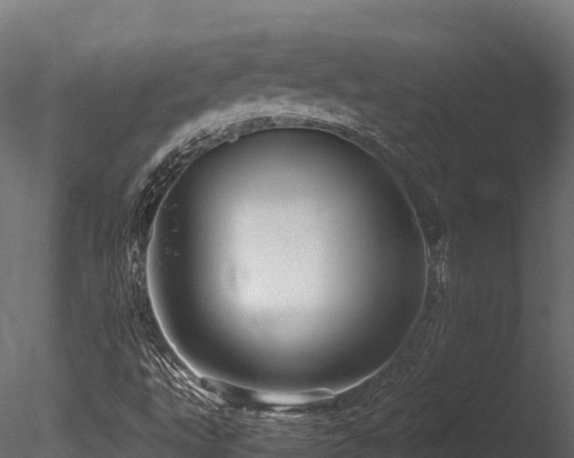 X0000085841495200703161336
