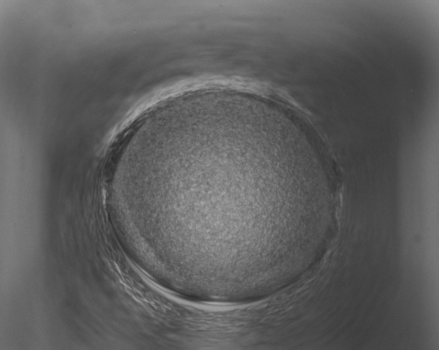 X0000085841496200703161336