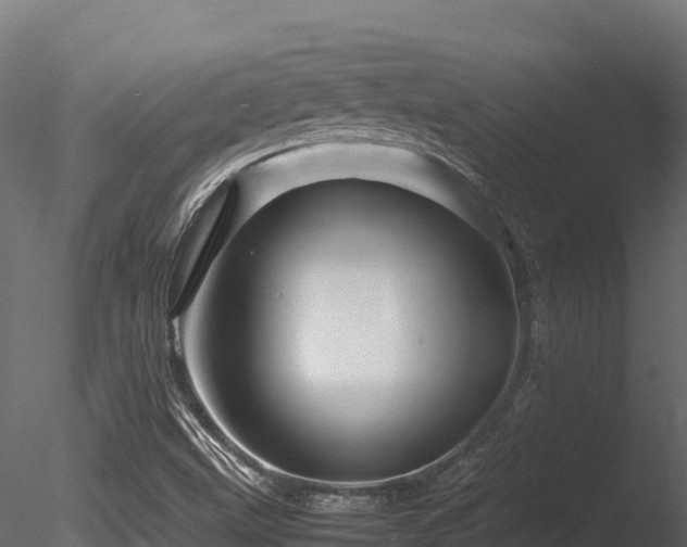 X0000085841499200703161336
