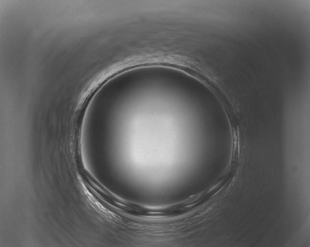 X0000085841500200703161336