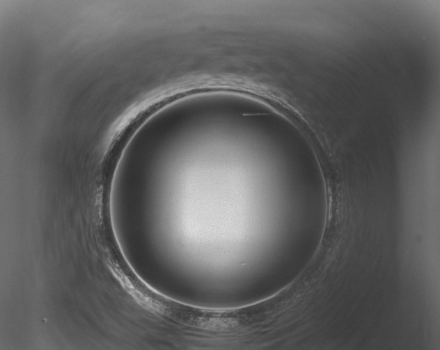 X0000085841503200703161336