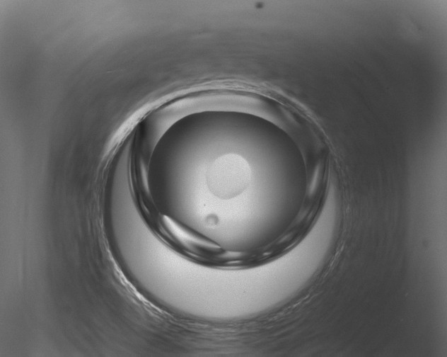X0000085841504200703161336