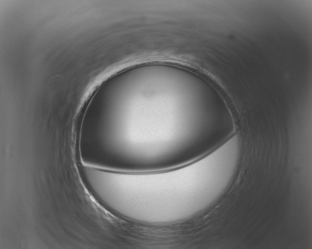 X0000085841508200703161337