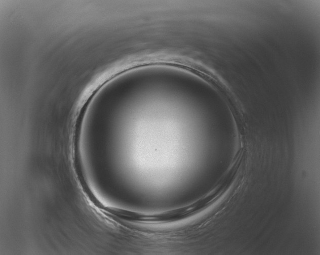 X0000085841512200703161337