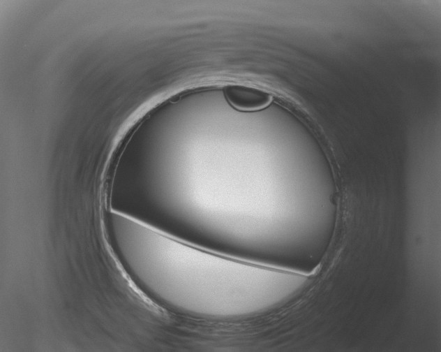 X0000085841517200703161337