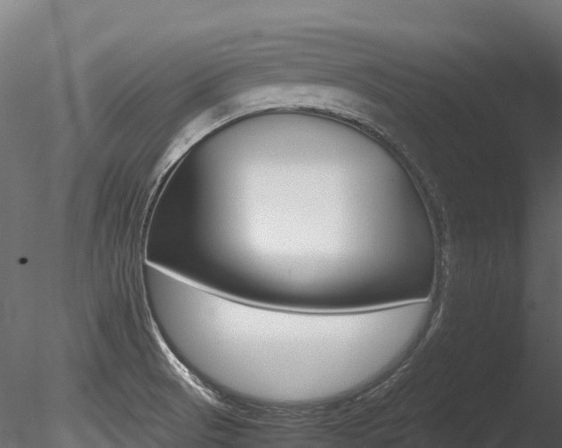 X0000085841521200703161337