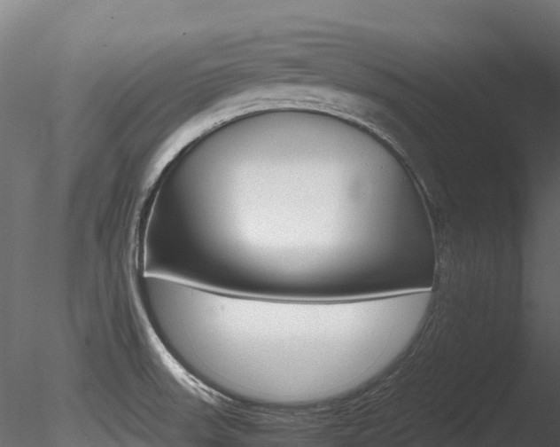 X0000085841523200703161337