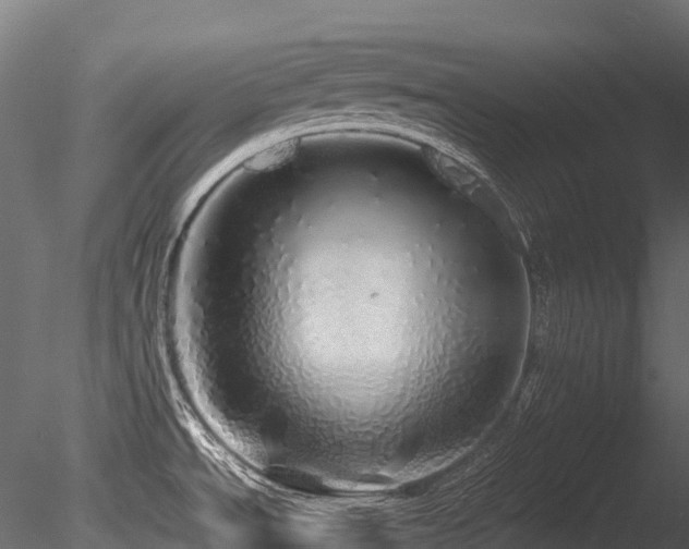 X0000085841534200703161337
