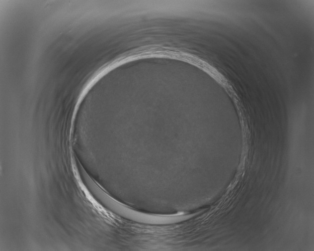 X0000085841536200703161337