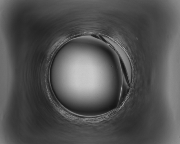 X0000085840001200703231453