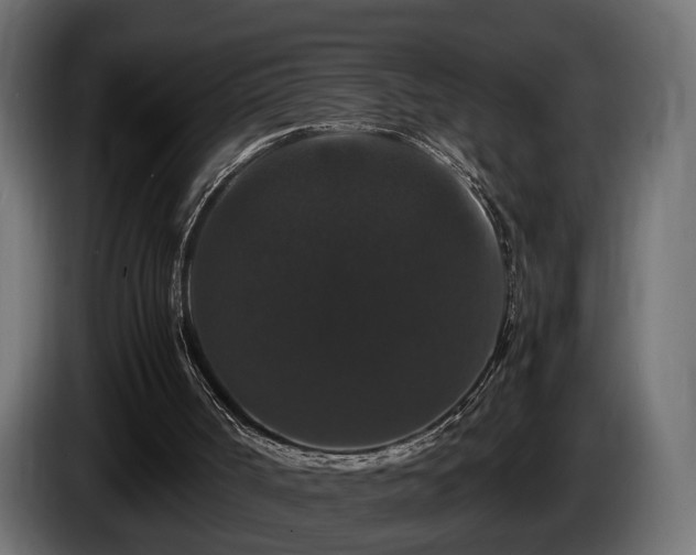 X0000085840002200703231453