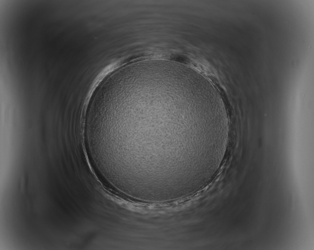 X0000085840003200703231453