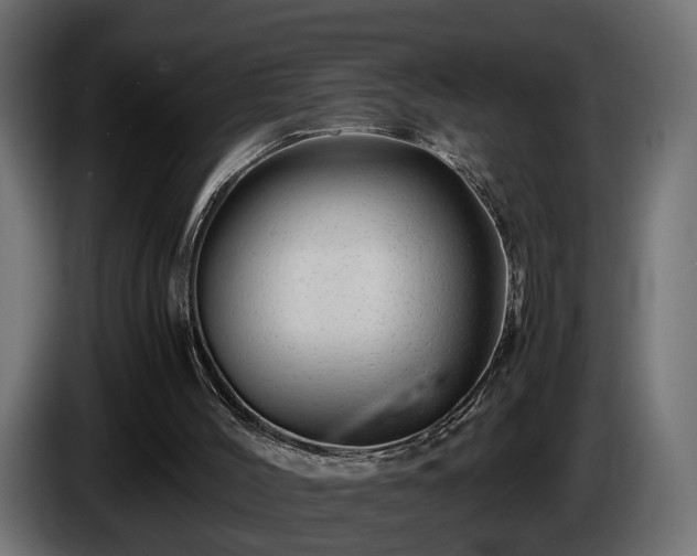 X0000085840004200703231453