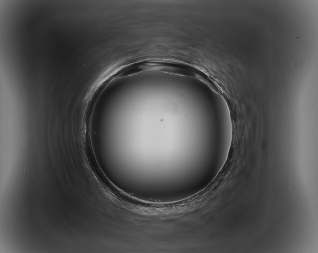 X0000085840005200703231453