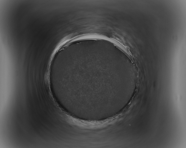 X0000085840006200703231453