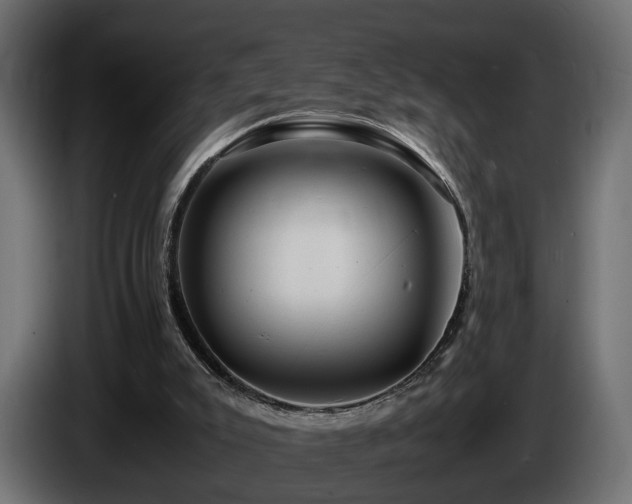 X0000085840007200703231452
