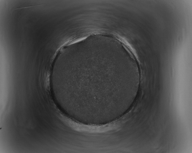 X0000085840010200703231452