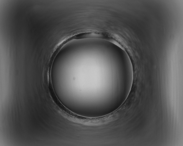 X0000085840011200703231452