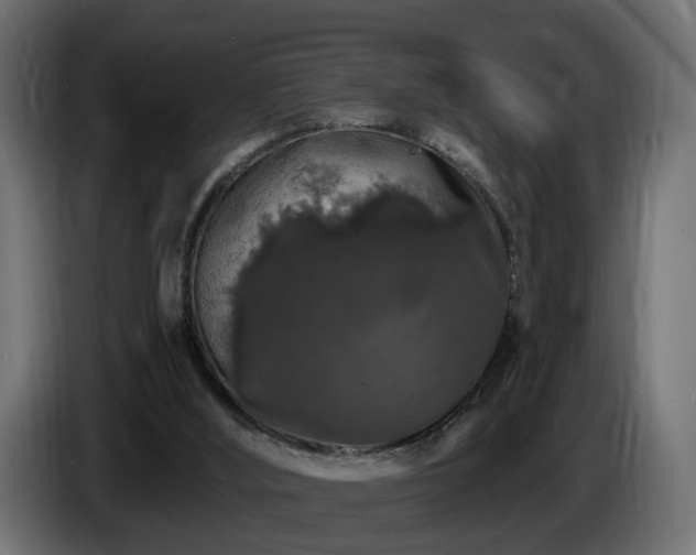 X0000085840012200703231452
