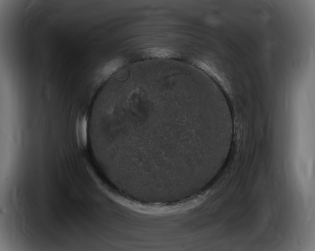 X0000085840014200703231452