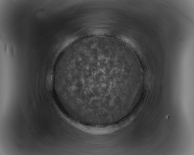 X0000085840016200703231452