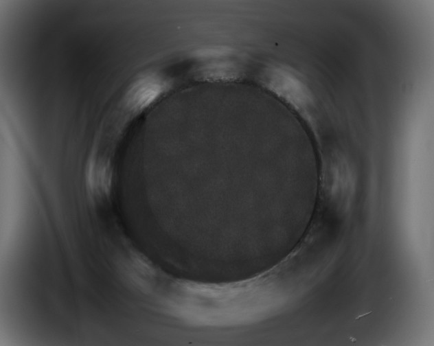 X0000085840017200703231452