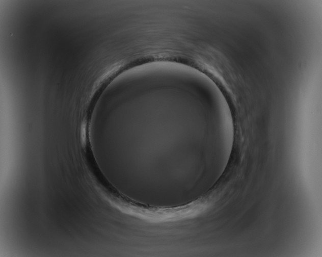 X0000085840019200703231452