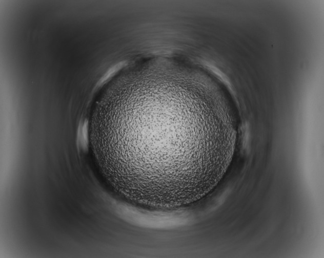 X0000085840020200703231452
