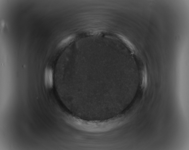X0000085840022200703231452