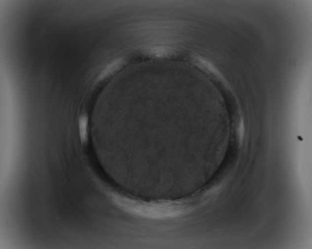 X0000085840024200703231452