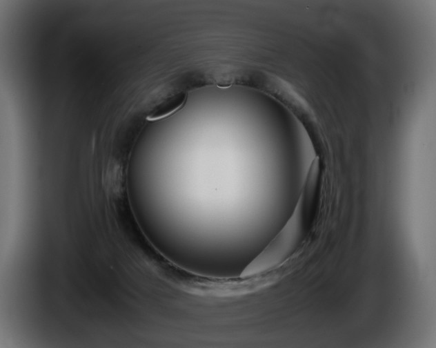 X0000085840025200703231452