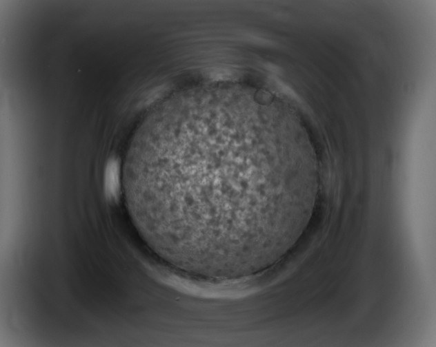 X0000085840028200703231452