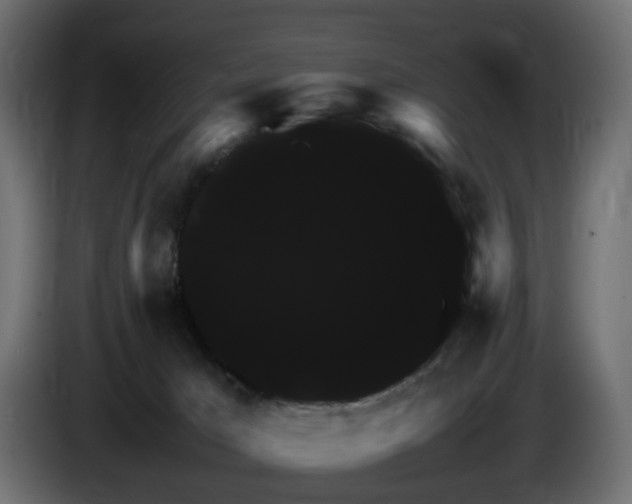 X0000085840029200703231452